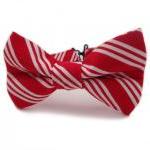 Bow Tie - Red And White Striped Bowtie For Boys