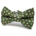 Bow Tie - Green Polka Dot Bowtie For Boys